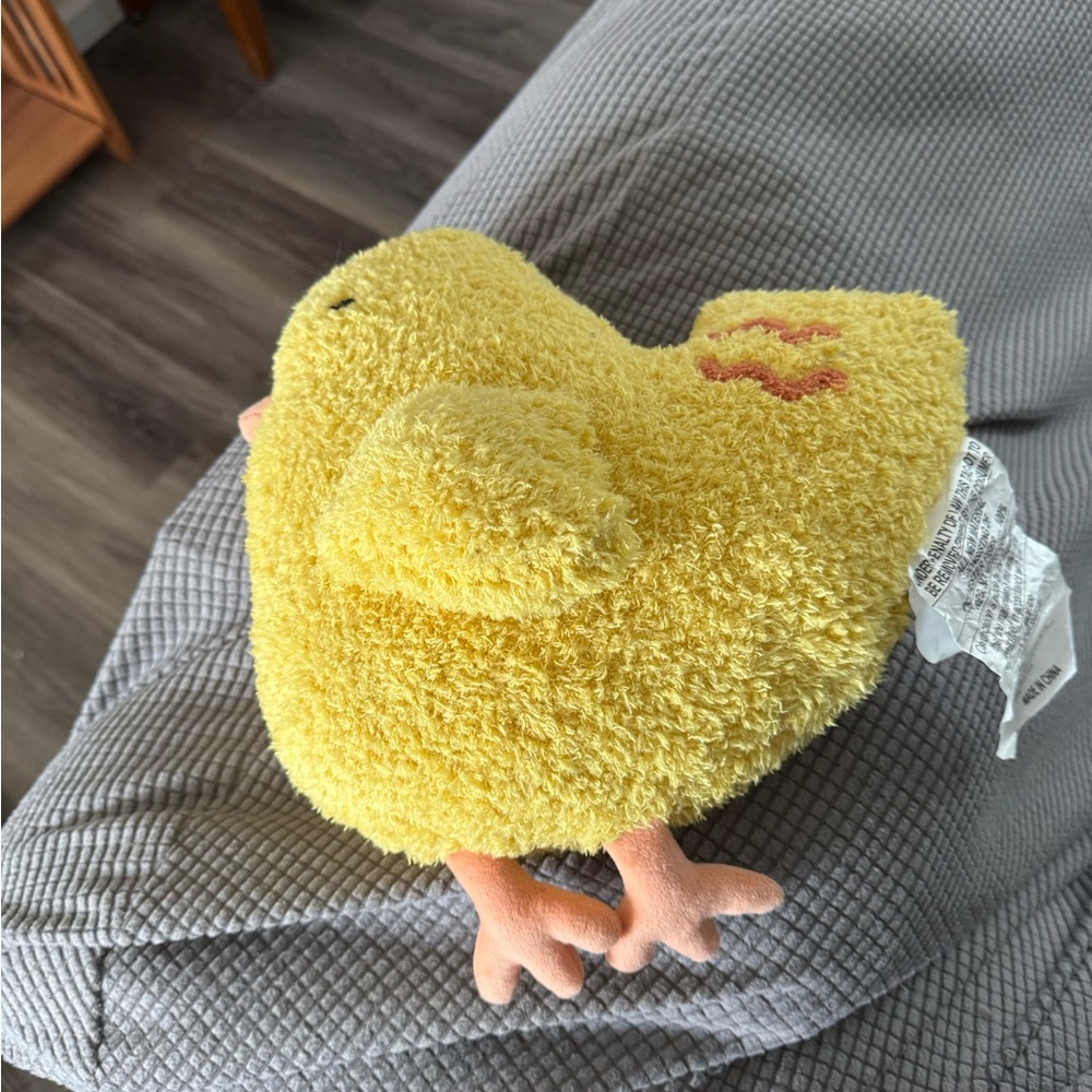 Spritz chick spring pillow
